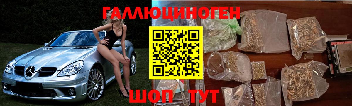 Галлюциногенные грибы Psilocybe  Вход с VPN  Белебей 